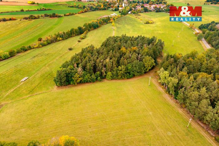 Prodej lesa, Ježovy - Trnčí, 39171 m2