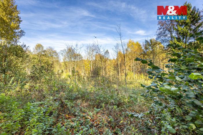 Prodej pozemku pro bydlení, Jiříkov, Mánesova, 3659 m2