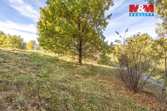 Prodej pozemku pro bydlení, Jiříkov, Mánesova, 3659 m2