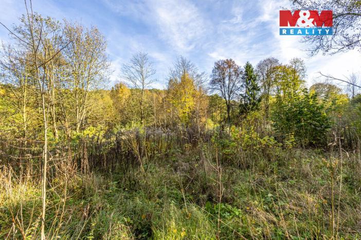 Prodej pozemku pro bydlení, Jiříkov, Mánesova, 3659 m2