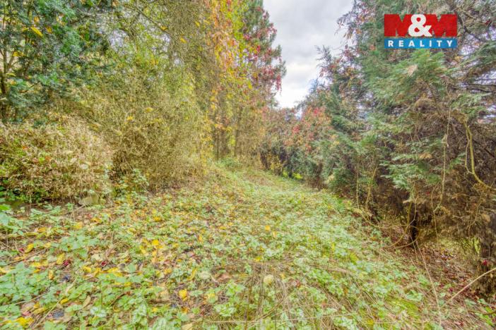 Prodej chaty, Hromnice - Planá, 75 m2