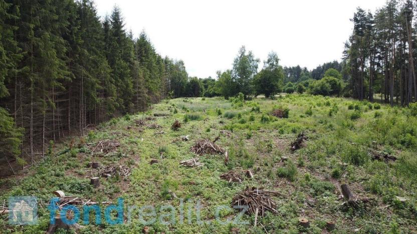 Prodej pozemku, Kunžak, 10789 m2