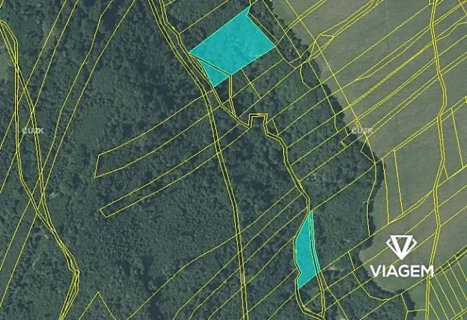 Prodej podílu lesa, Fulnek, 7911 m2