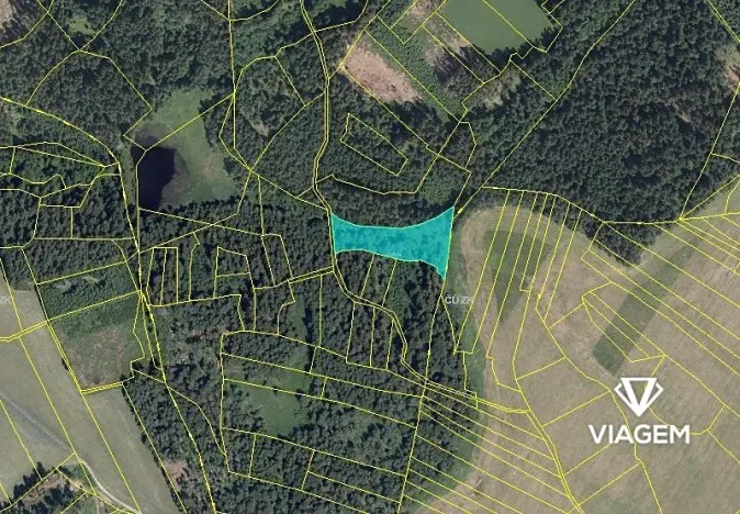 Prodej podílu lesa, Studnice, 2072 m2