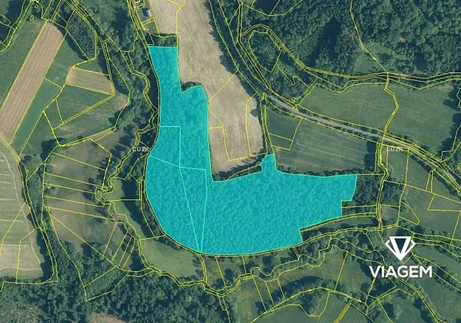 Prodej podílu lesa, Čmelíny, 7020 m2