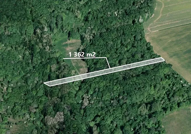 Prodej lesa, Hradčovice, 1362 m2