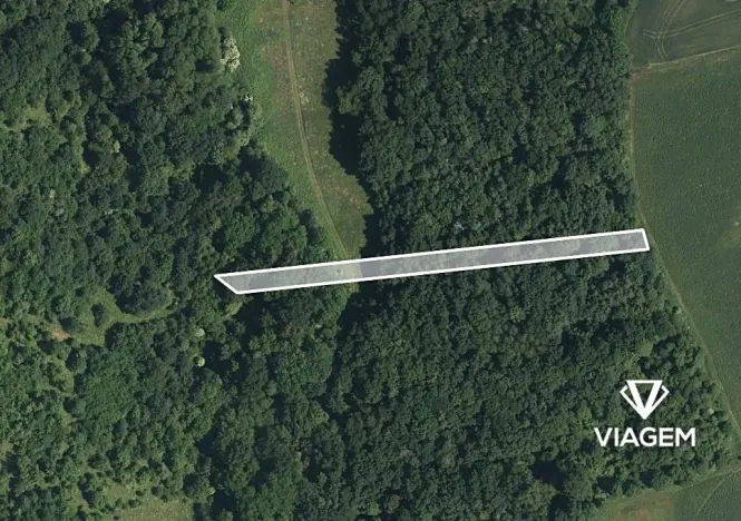 Prodej lesa, Hradčovice, 1362 m2