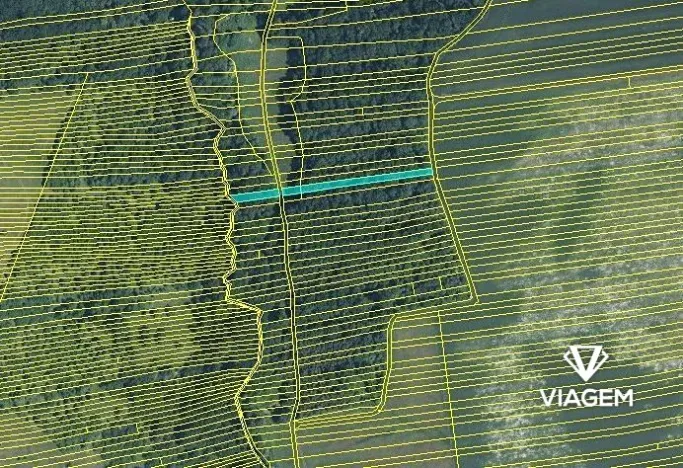 Prodej lesa, Hradčovice, 1362 m2