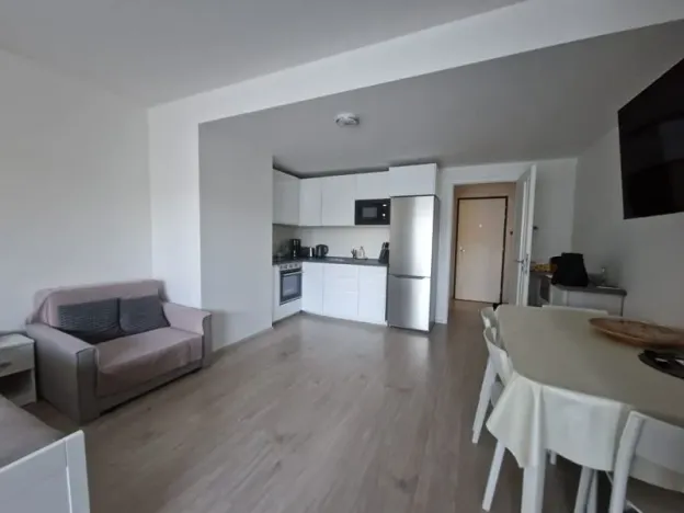 Pronájem bytu 1+kk, Praha - Žižkov, Hartigova, 39 m2