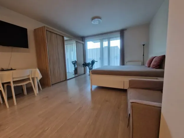 Pronájem bytu 1+kk, Praha - Žižkov, Hartigova, 39 m2