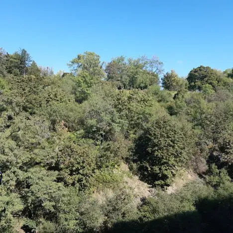 Pronájem bytu 1+kk, Praha - Žižkov, Hartigova, 39 m2