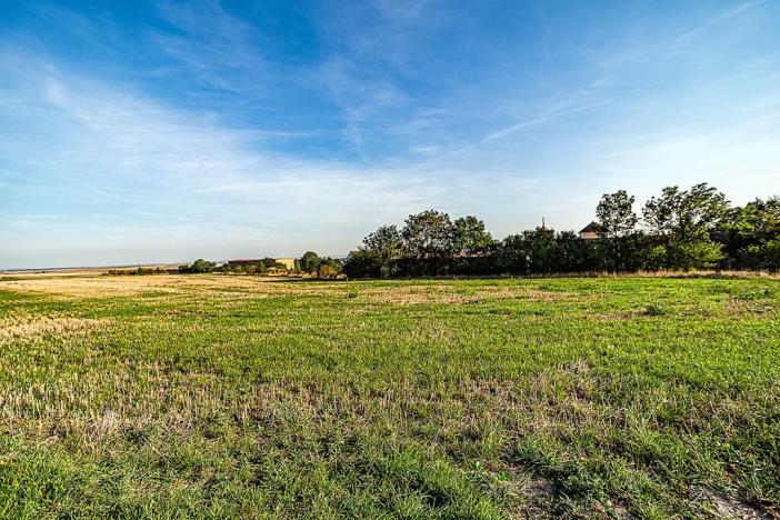 Prodej pozemku pro bydlení, Vraný, 2862 m2