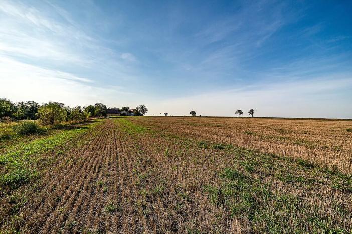Prodej pozemku pro bydlení, Vraný, 2862 m2