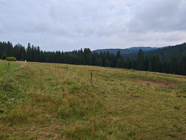 Prodej pozemku pro bydlení, Kvilda, 2500 m2