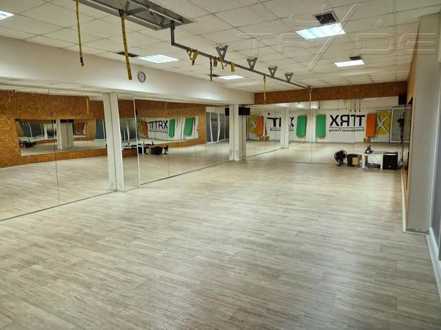 Prodej obchodního prostoru, Znojmo, Vídeňská třída, 5100 m2