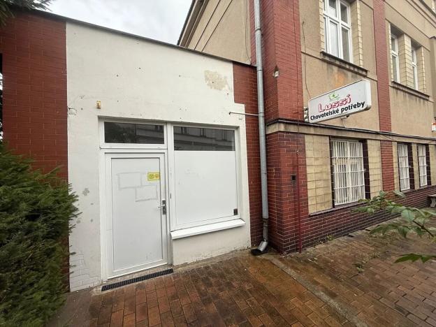 Pronájem obchodního prostoru, Horní Bříza, 55 m2