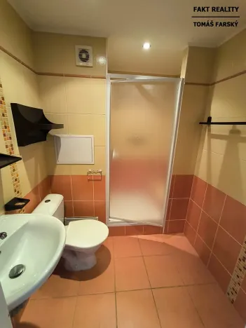 Pronájem bytu 1+kk, Děčín, Želenická, 25 m2