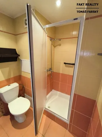 Pronájem bytu 1+kk, Děčín, Želenická, 25 m2