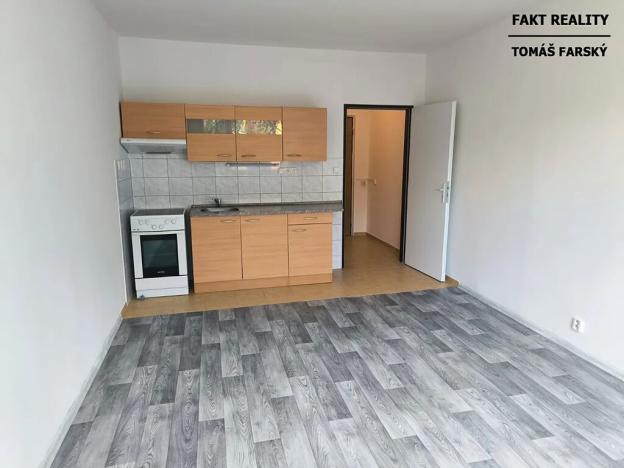 Pronájem bytu 1+kk, Děčín, Želenická, 25 m2