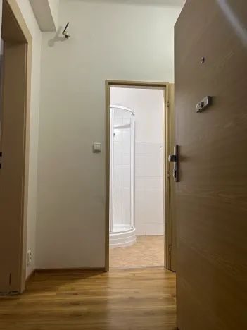 Prodej bytu 1+1, Plzeň, Tělocvičná, 47 m2