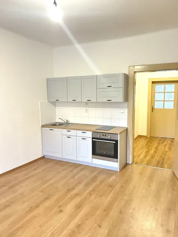 Prodej bytu 1+1, Plzeň, Tělocvičná, 47 m2