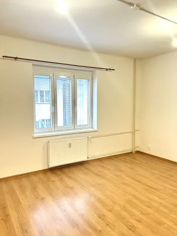 Prodej bytu 1+1, Plzeň, Tělocvičná, 47 m2