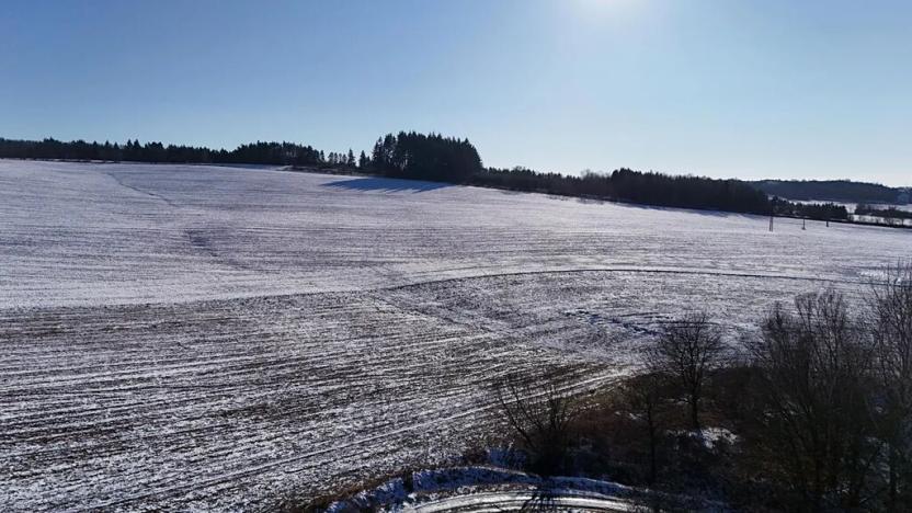 Prodej pozemku pro bydlení, Radnice, Puchmajerova, 850 m2