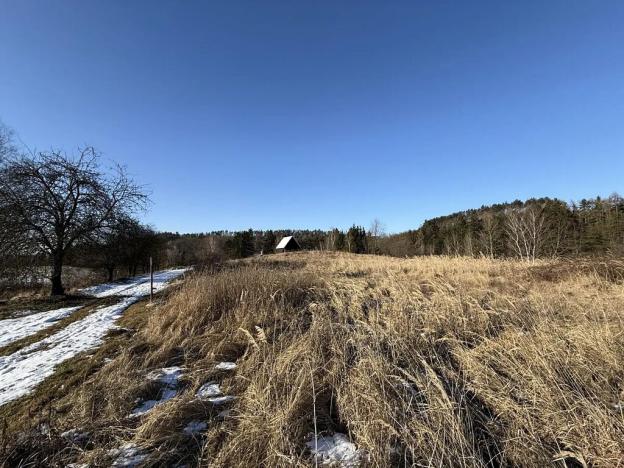 Prodej pozemku pro bydlení, Radnice, Puchmajerova, 850 m2