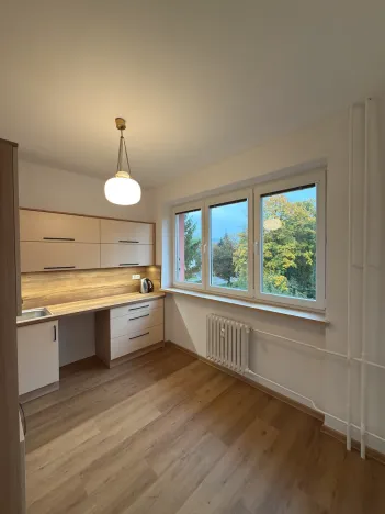 Pronájem bytu 2+1, Třinec, B. Němcové, 58 m2