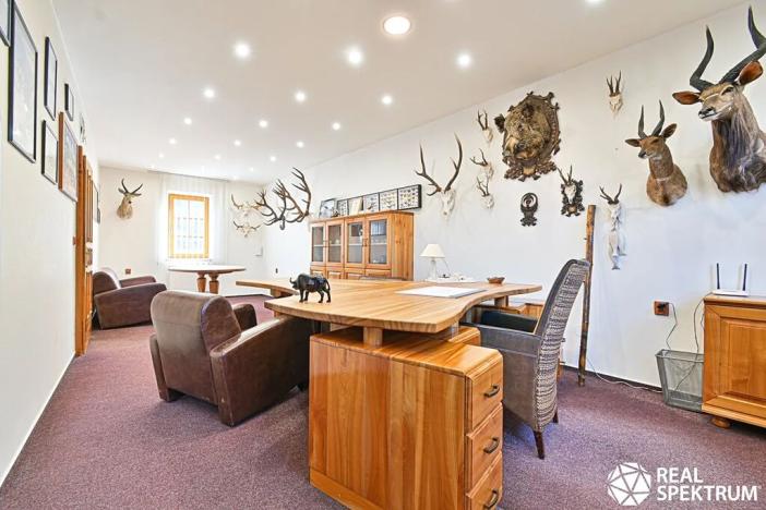 Prodej obchodního prostoru, Cetkovice, Velká Strana, 420 m2