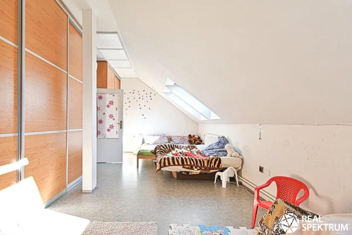 Prodej obchodního prostoru, Cetkovice, Velká Strana, 420 m2