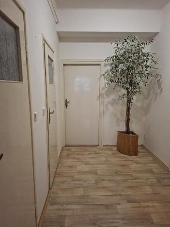 Pronájem bytu 2+kk, Olomouc, Březinova, 68 m2