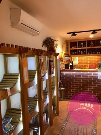 Pronájem obchodního prostoru, Olomouc, Karolíny Světlé, 55 m2