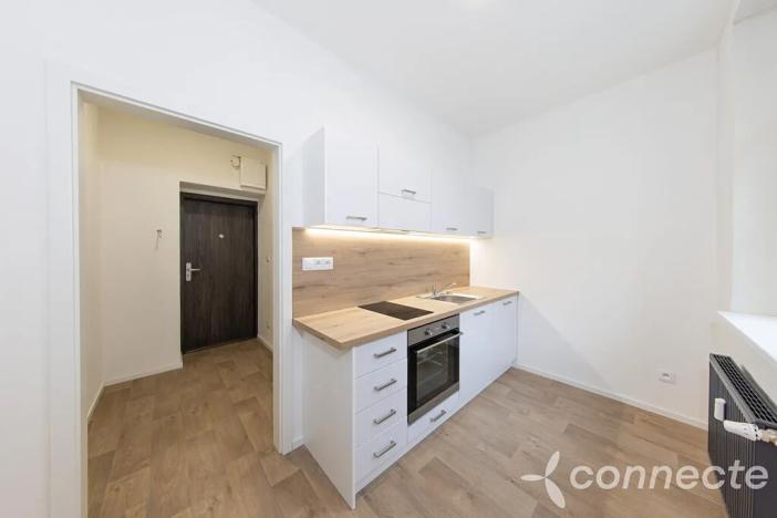 Prodej bytu 1+1, Přerov, Husova, 28 m2