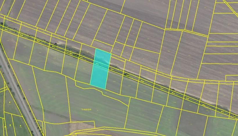 Prodej podílu louky, Cerhenice, 10056 m2