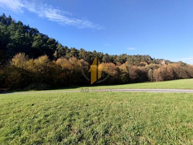 Pronájem rodinného domu, Klokočí, 248 m2