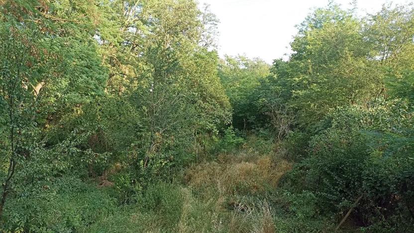 Prodej chaty, Sobotovice, 34 m2