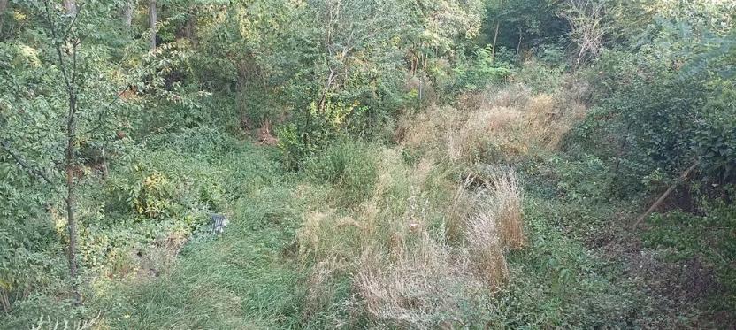 Prodej chaty, Sobotovice, 34 m2