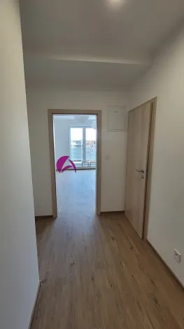 Pronájem bytu 1+kk, Olomouc, Šantova, 34 m2