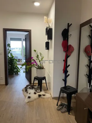 Pronájem bytu 3+kk, Olomouc, Šantova, 94 m2