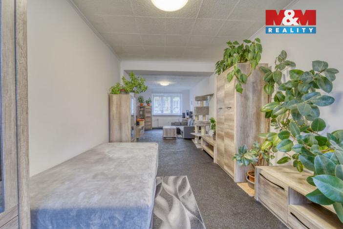 Prodej bytu 1+1, Habartov, Raisova, 50 m2