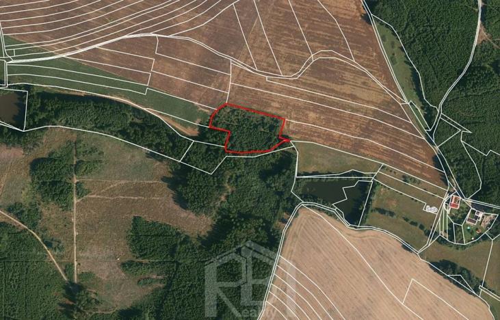 Prodej lesa, Žirovnice, 9999 m2