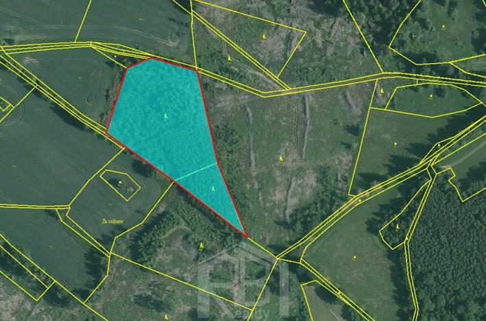 Prodej lesa, Studená, 12013 m2