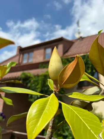 Prodej rodinného domu, Dobřejovice, Nad Mlýnským Rybníkem, 180 m2