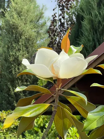 Prodej rodinného domu, Dobřejovice, Nad Mlýnským Rybníkem, 180 m2