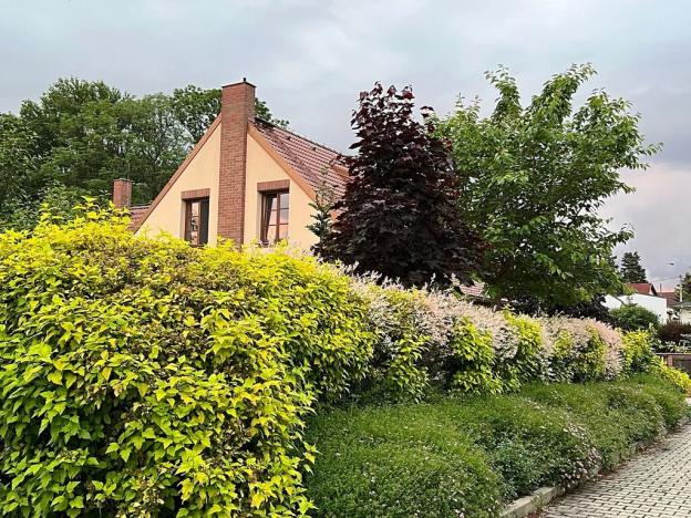 Prodej rodinného domu, Dobřejovice, Nad Mlýnským Rybníkem, 180 m2