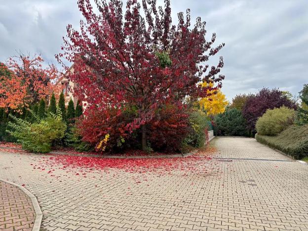 Prodej rodinného domu, Dobřejovice, Nad Mlýnským Rybníkem, 180 m2