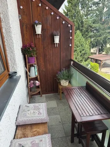 Pronájem bytu 1+kk, Slapy, 22 m2