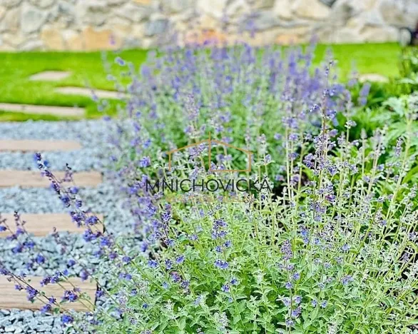 Prodej rodinného domu, Mnichovice, 186 m2