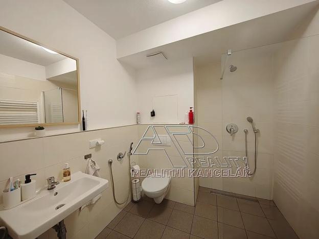 Pronájem bytu 2+kk, České Budějovice, 47 m2